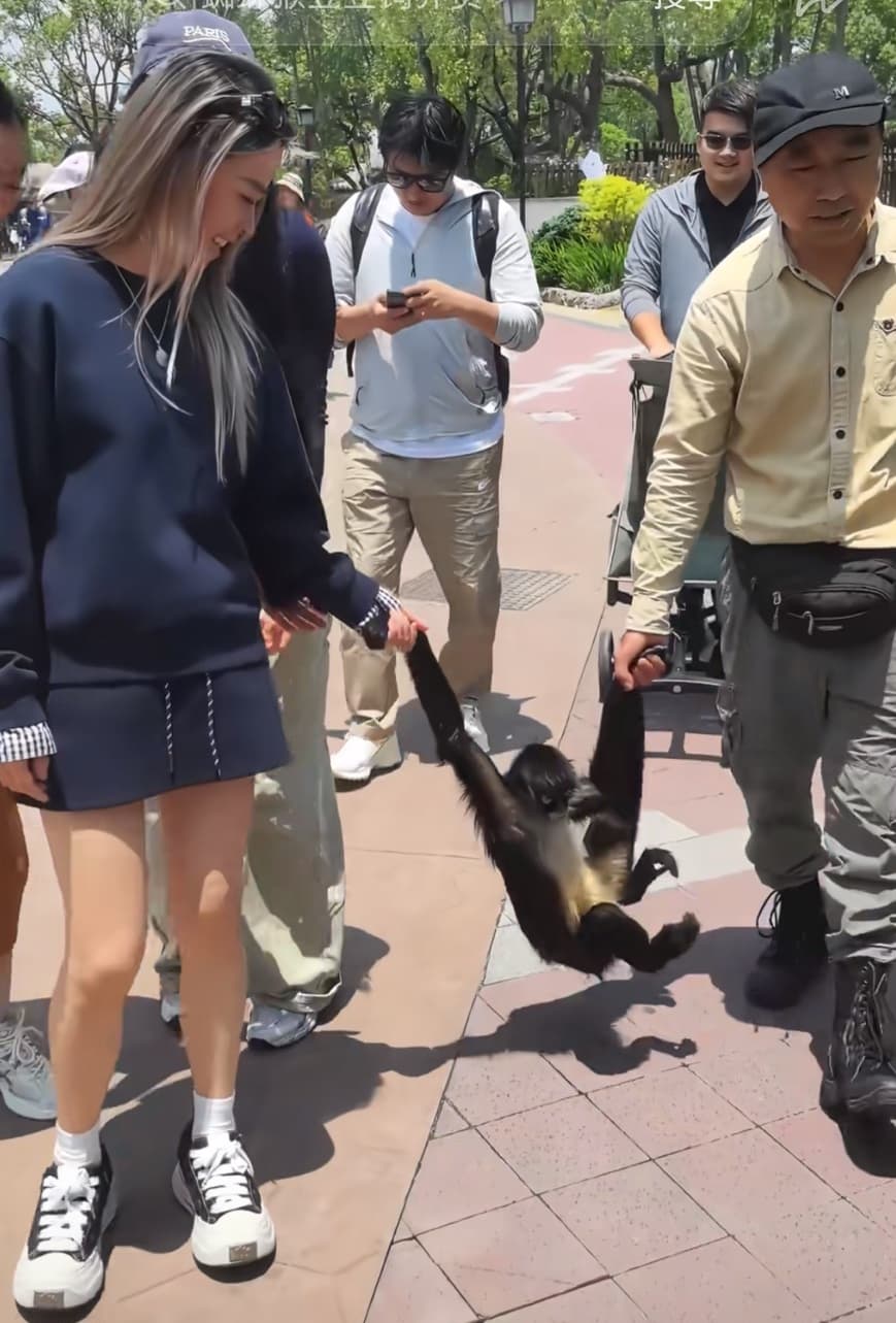 豆豆平常就相當親人，尤其喜歡長髮女遊客。（翻攝上海野生動物園小紅書）