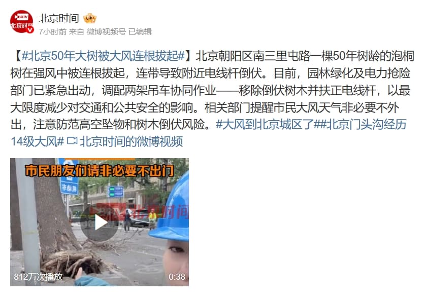 受極端大風影響,北京一棵50年大樹遭連根拔起。(翻攝自微博@北京時間)