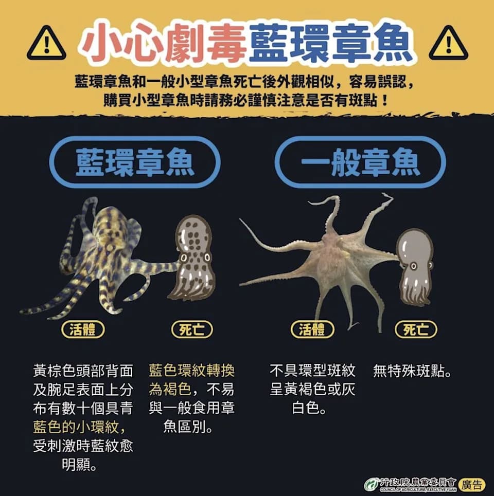 河豚毒素高溫也殺不死，一旦中毒恐致命。（農業部提供）