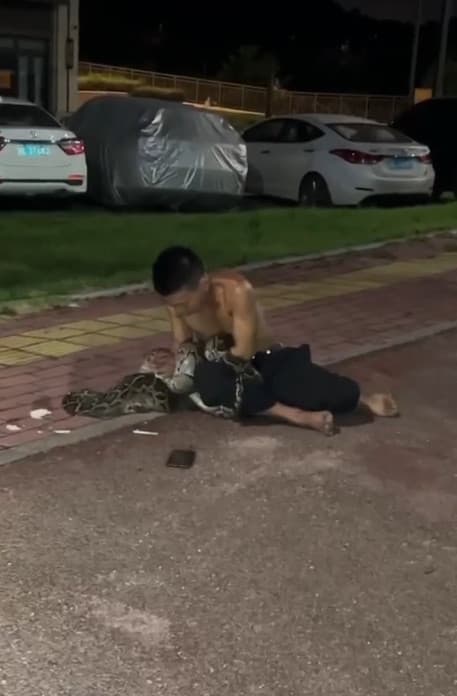 醉漢試圖抓住巨蟒，沒想到最後反被緊緊纏繞。（翻攝微博）