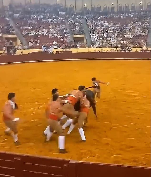 特林達德的鬥牛隊友試圖阻止公牛衝向木製圍牆。（翻攝畫面）
