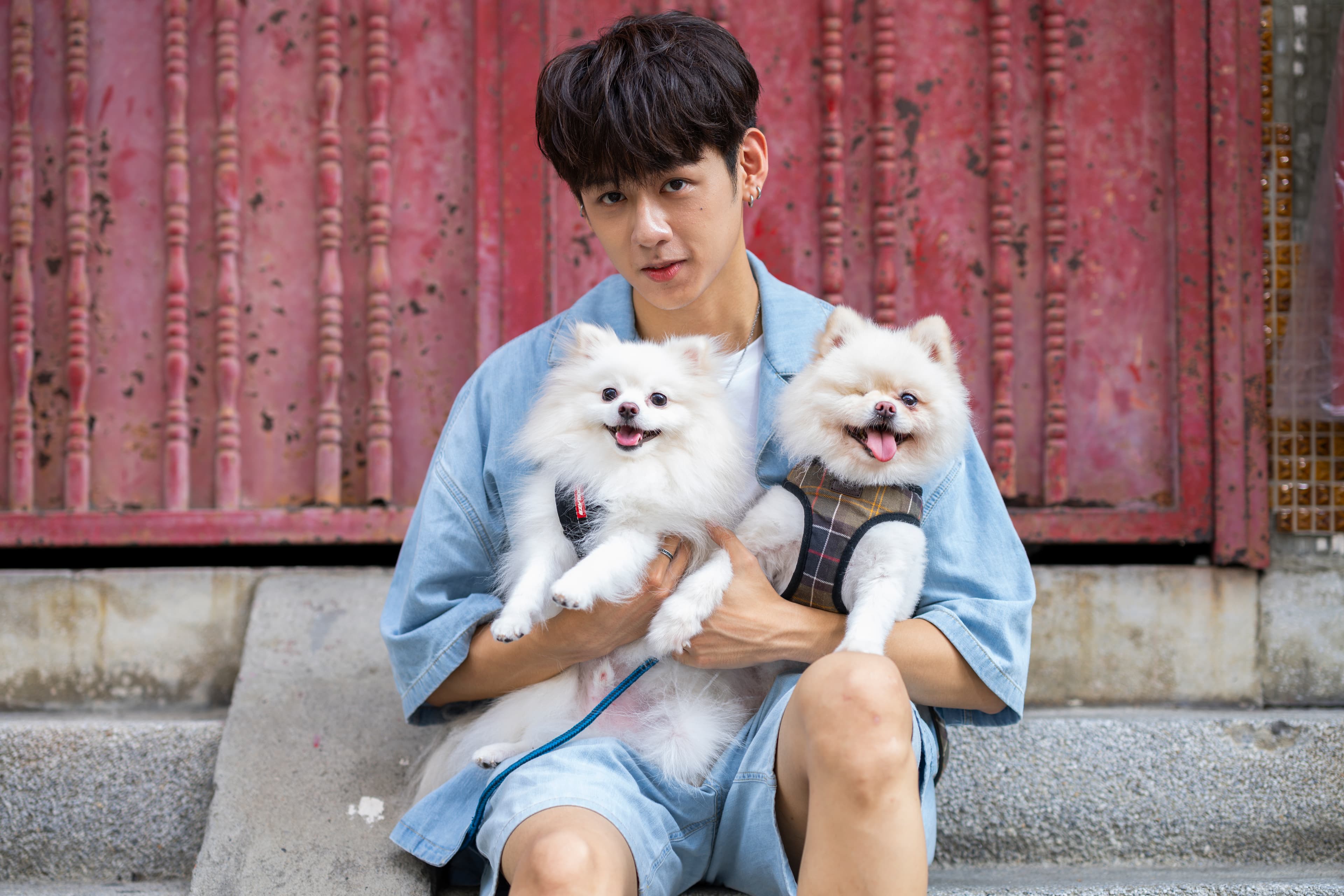 愛犬拿鐵與小明在家中打架護食，讓洪暐哲很頭大。