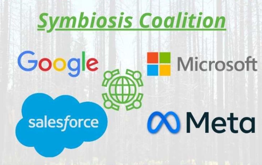 由微軟(Microsoft)、谷歌(Google)、臉書(Meta)、Salesforce等組成的共生聯盟（Symbiosis Coalition），預計2030年前要取得全球2千萬噸的自然碳匯。（翻攝畫面）