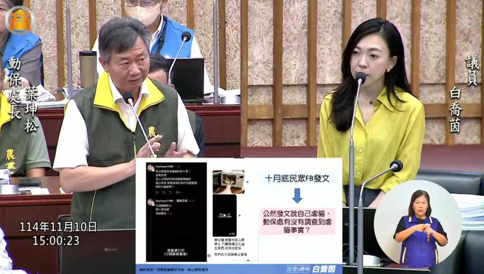 市議員白喬茵追查後，發現有多隻貓咪被卓男領養後就失蹤，有涉嫌虐貓的狀況，質詢時向動保處反映此事。（白喬茵辦公室提供）