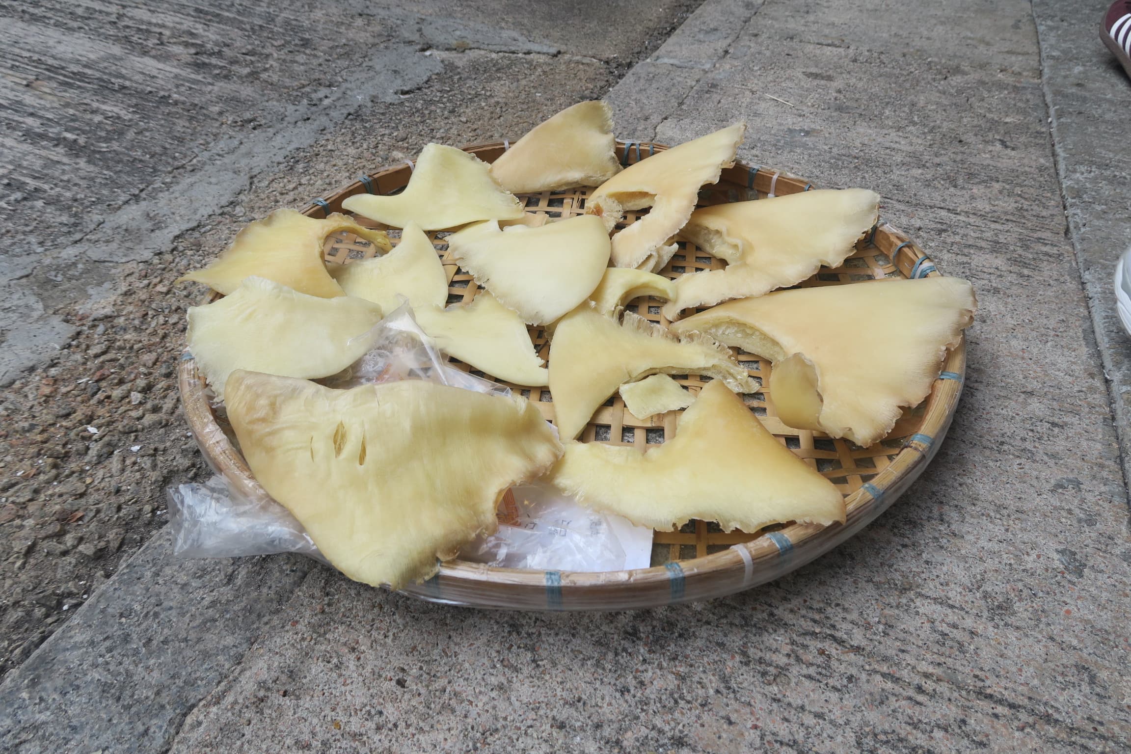 潮州人善烹魚翅，店前直接放一籃在陽光下曝曬。