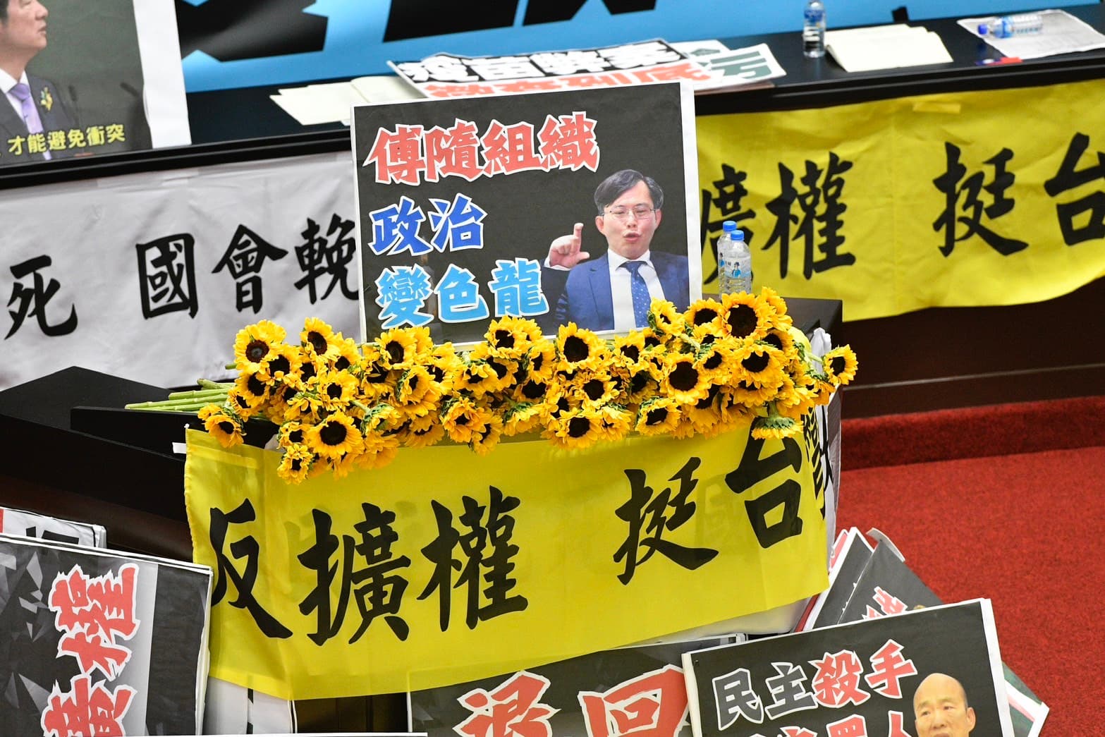 立法院內晚間開起太陽花，並掛起「反擴權，挺台灣」布條。