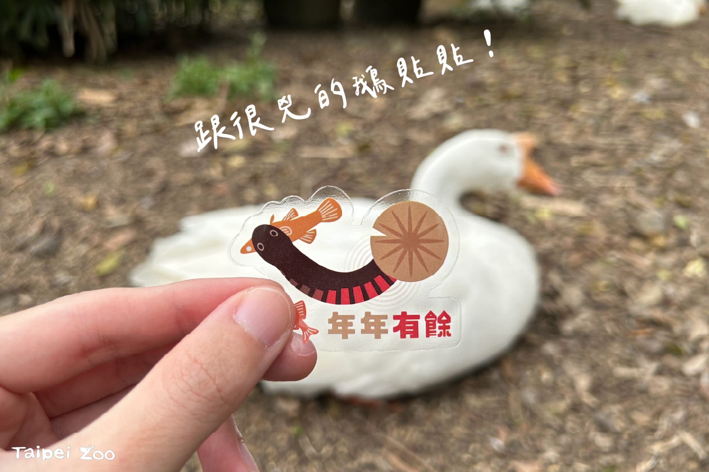 完成動物園健康漫步路線在任3個集章點處蓋章，就可以兌換限定的赤腹游蛇新春貼紙1張。（台北市立動物園提供）