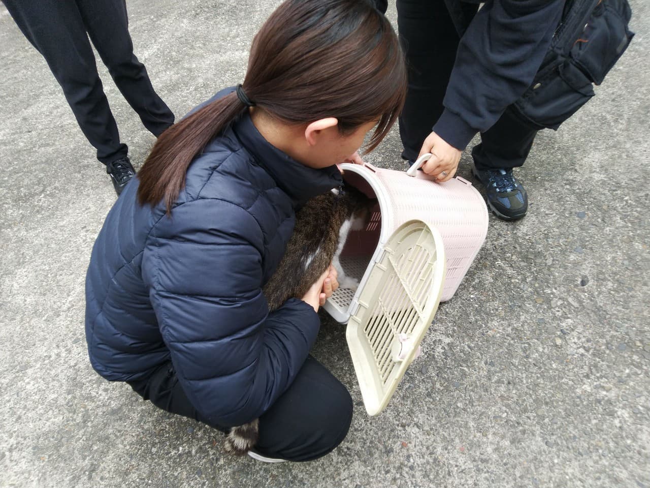病好康復的豆花被認養帶回溫暖的家。（新北動保處提供）