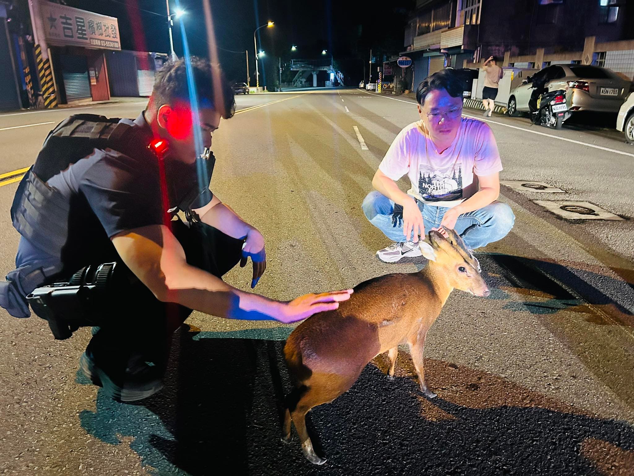 警方、保育單位與議員合力護送小山羌，避免發生意外。（翻攝自臉書@陳光軒・dpp苗栗縣議員）