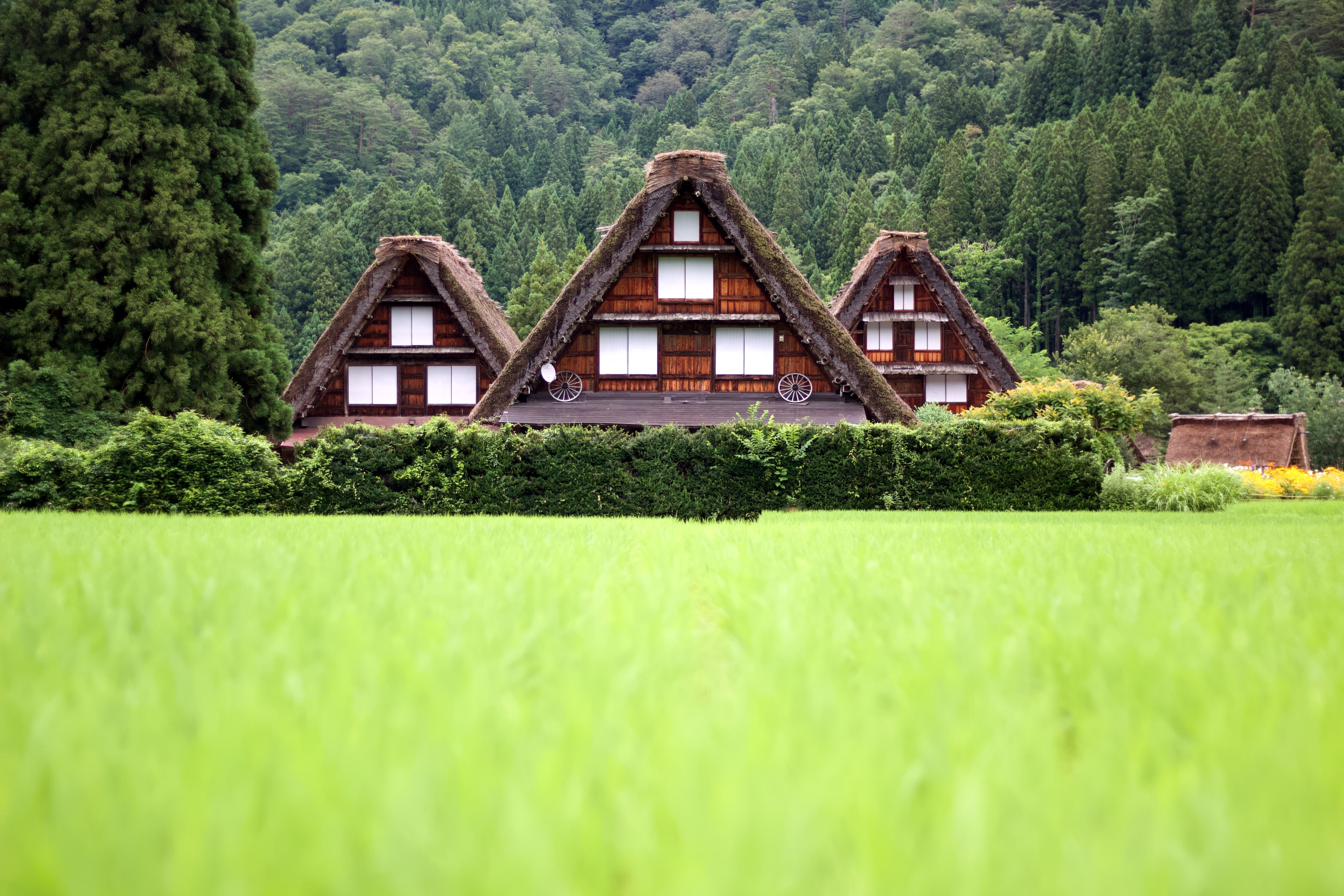 「三小屋」遠離較為熱鬧的合掌村中心。