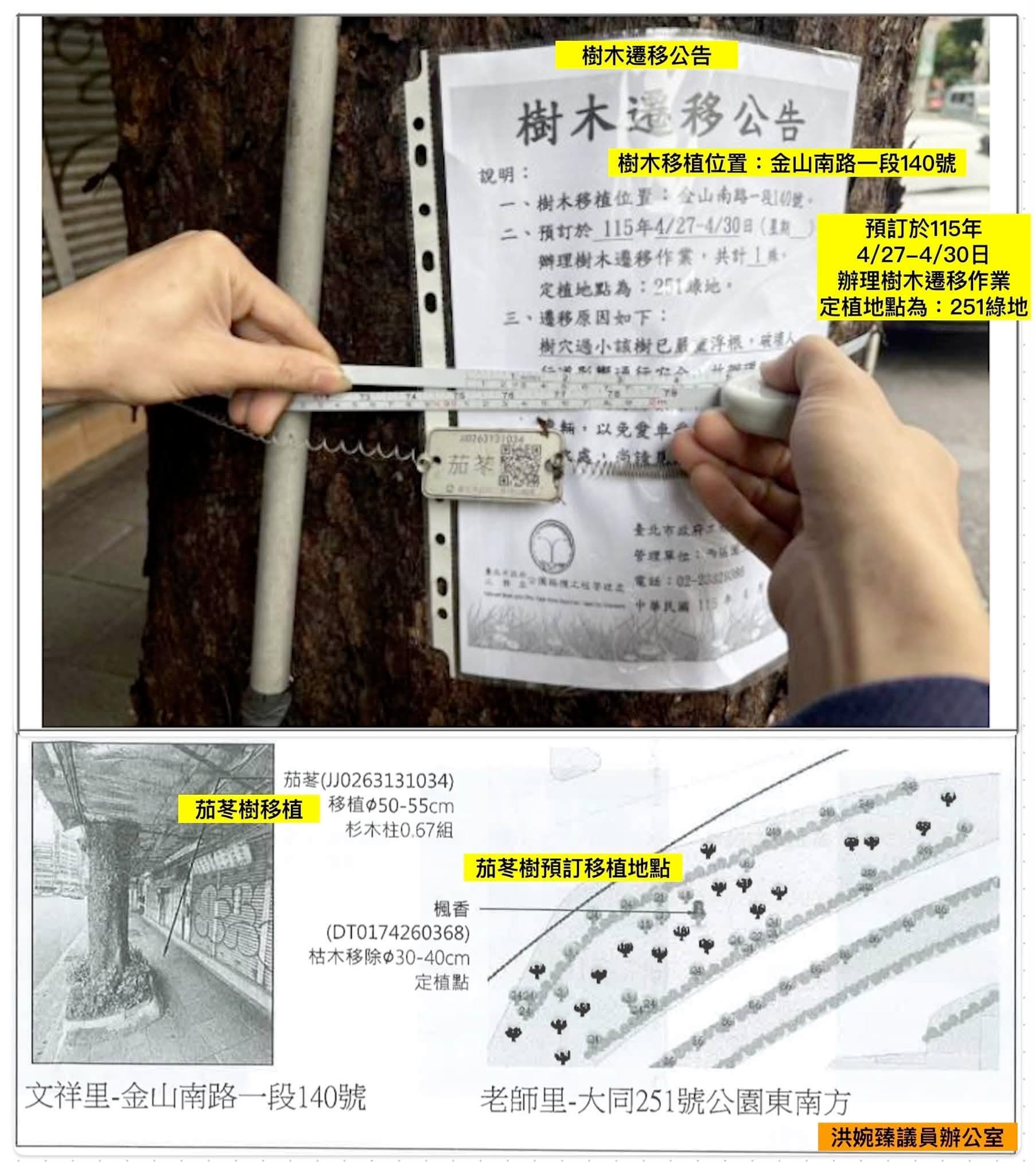 5月委外廠商進場作業時，竟直接將樹木攔腰鋸斷、分段切塊運走。（翻攝自洪婉臻臉書）