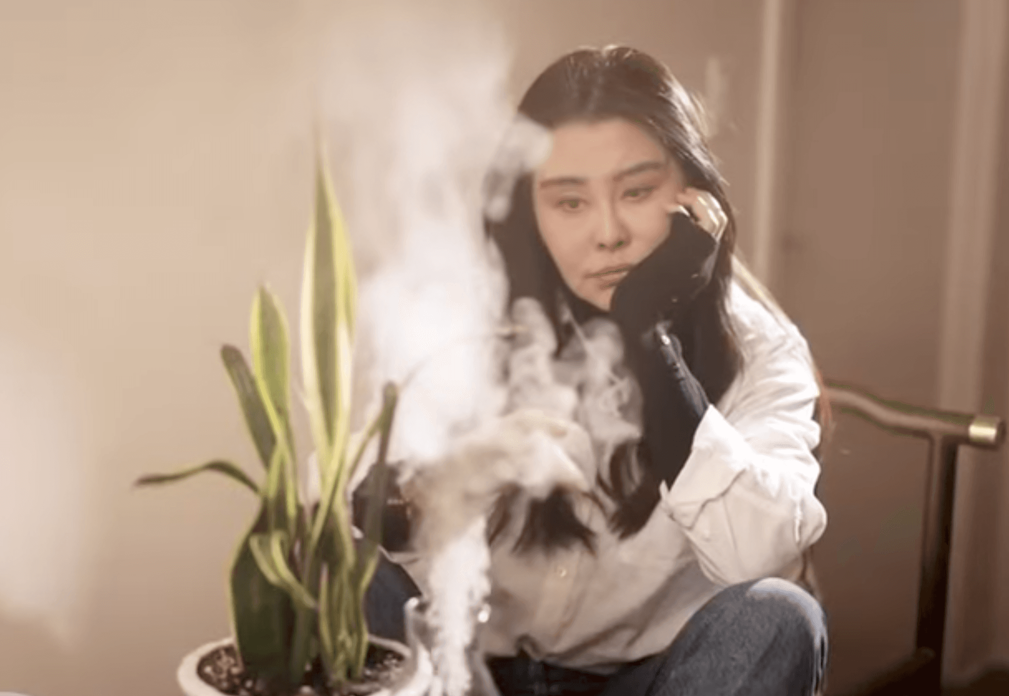 王祖賢開設艾灸館，表示艾灸是她希望能堅持一生的事業。（翻攝影片畫面）