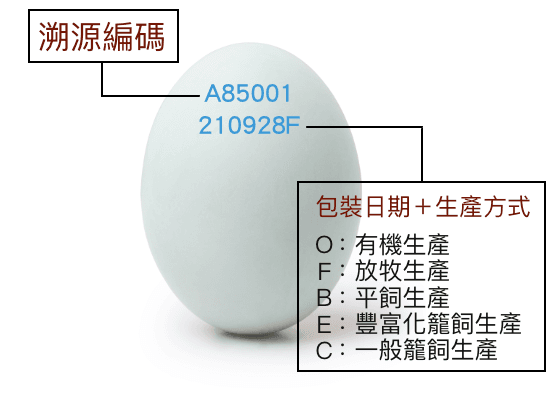 買蛋前必看！英文字母尾碼竟透露雞的飼養方式。（農業部提供）