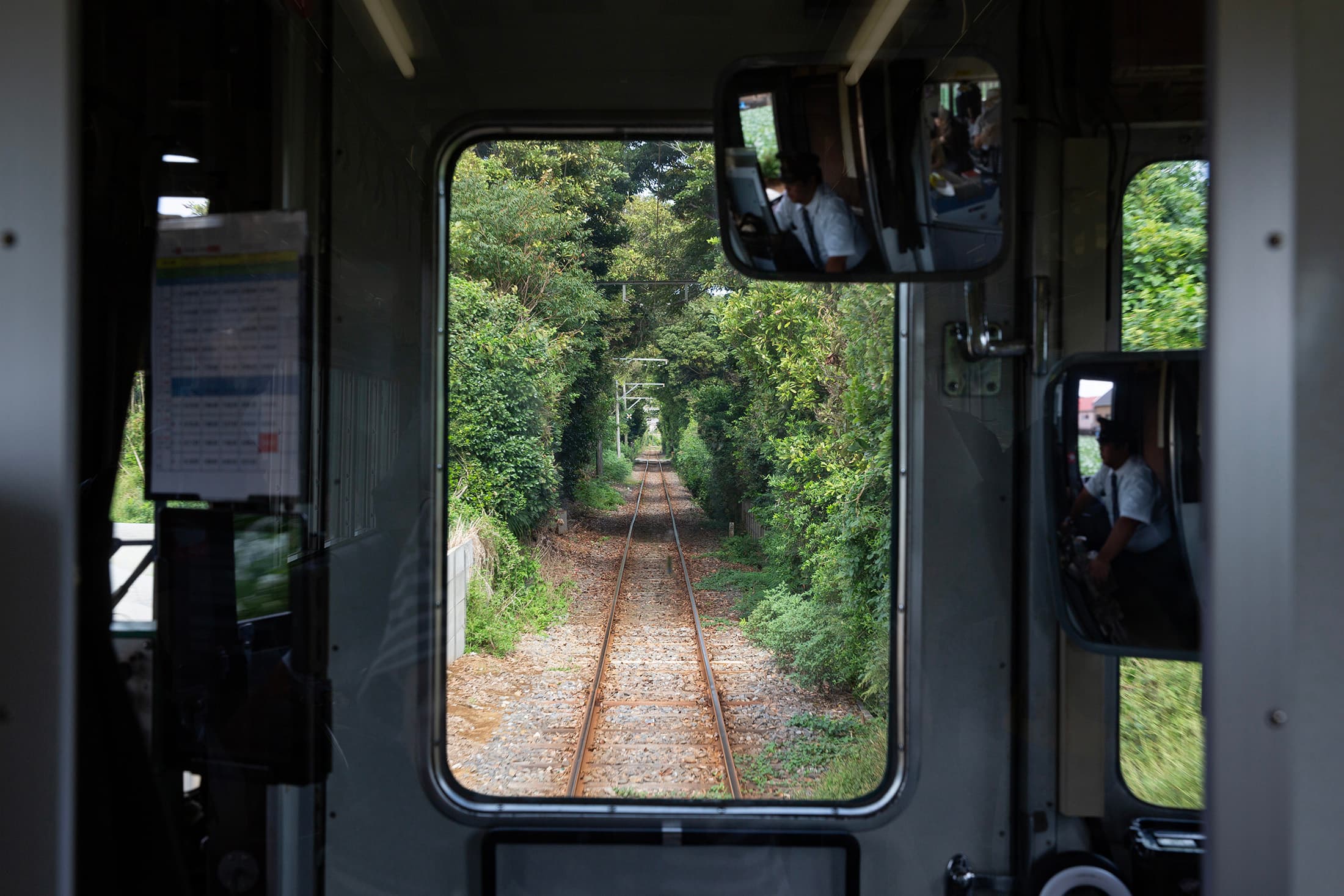 在6.4公里路途中，會經過不少綠色隧道。
