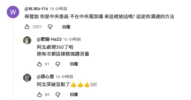 柯文哲個人帳號公開留言開嗆蔡壁如。(翻攝自YouTube)
