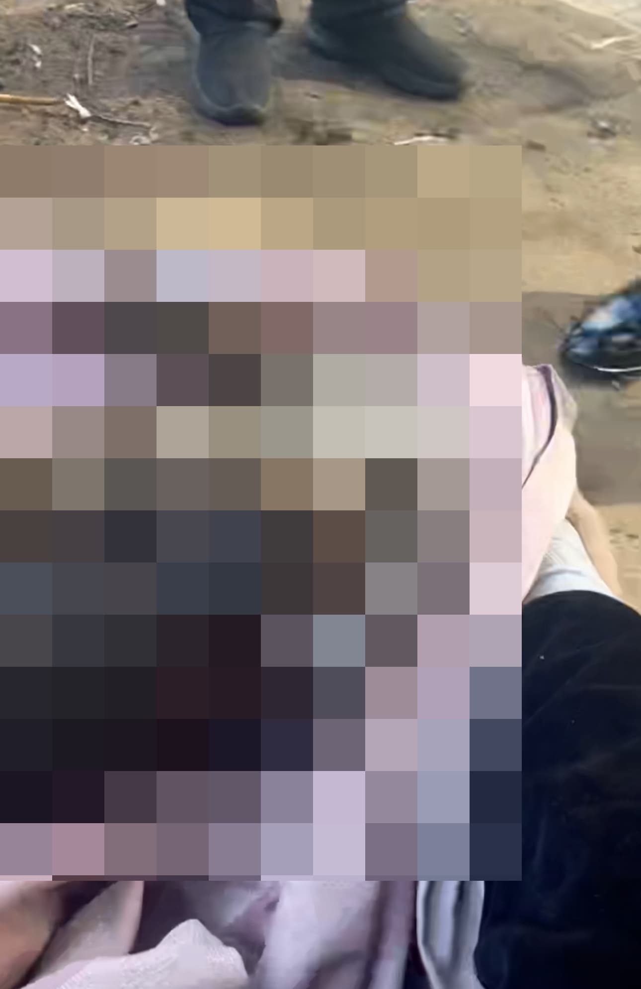 薩摩耶被活活燒死。（翻攝飼主微博）