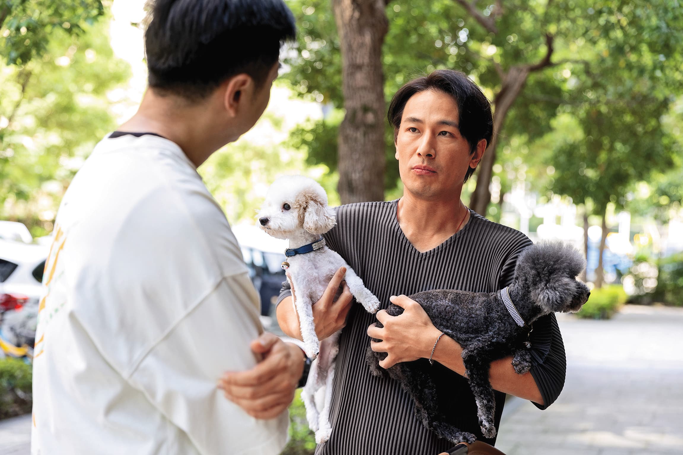 傅子純養了一老狗一幼犬，發現照顧好牠們並不容易，特別請教熊爸有何方法。