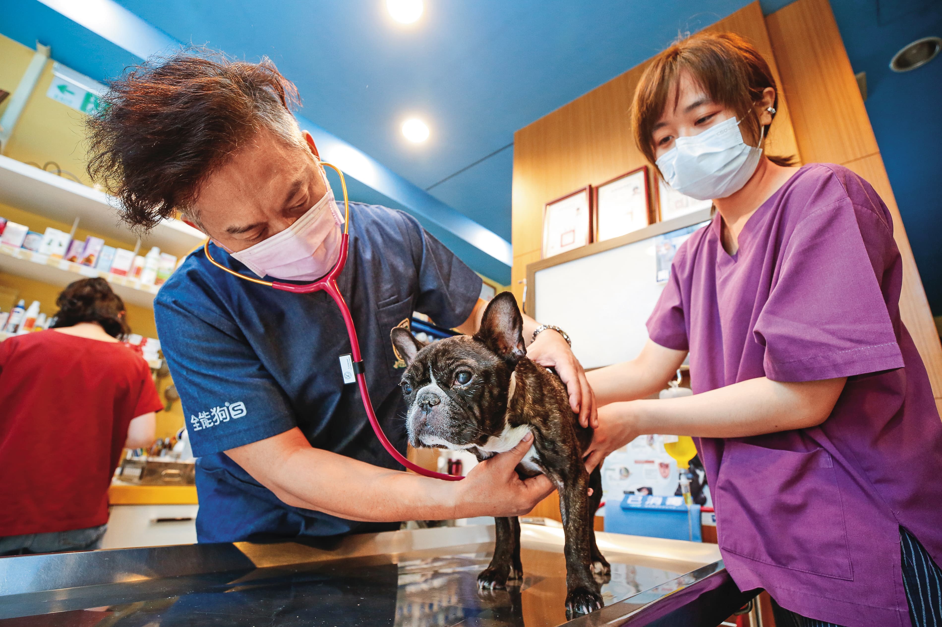 寵物零售店面走向服務整合、複合式經營。