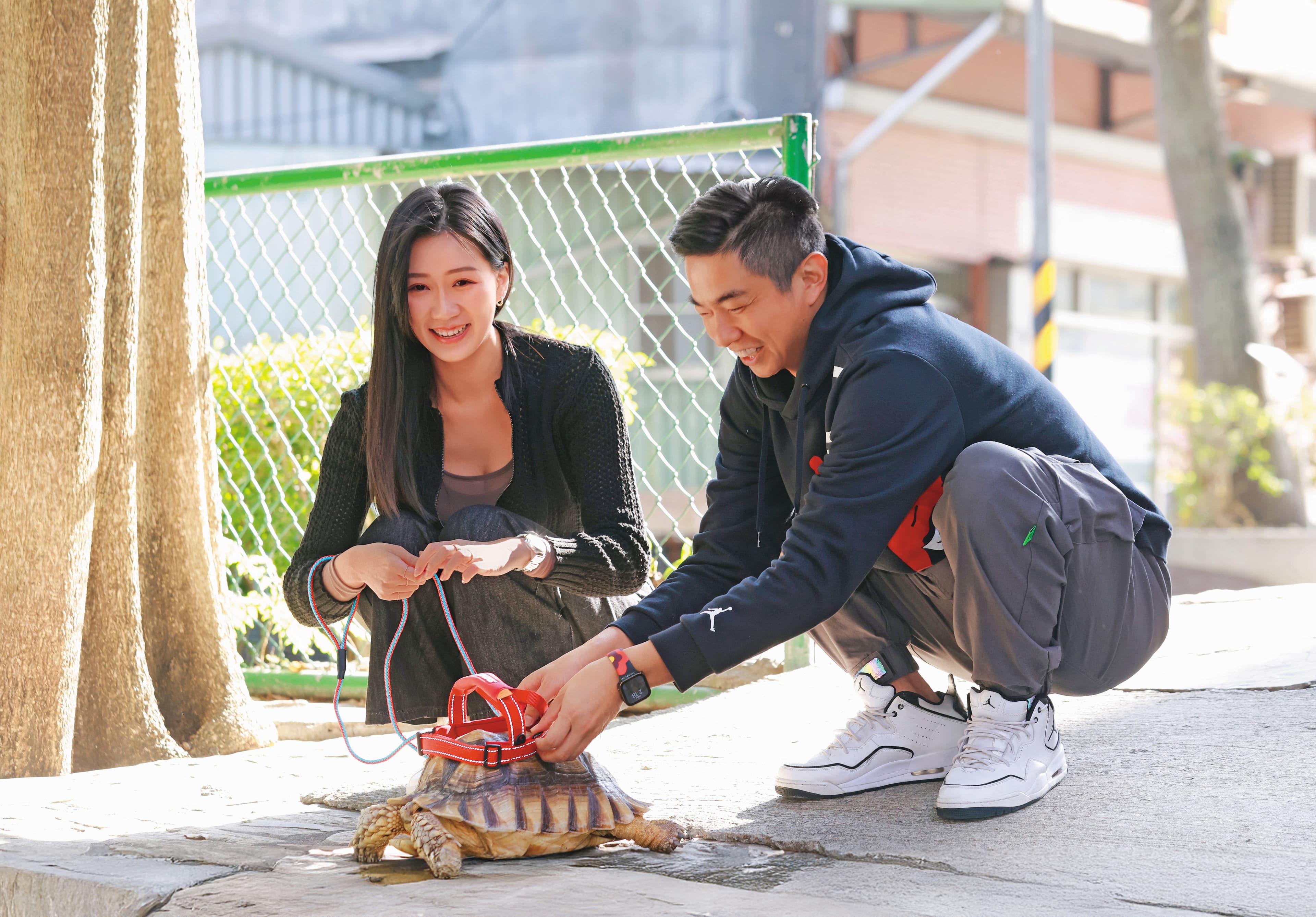 小倢（左）帶著愛犬夏米跟熊爸（右）見面，也把正在睡覺的烏龜小乖（中）抱下來，熊爸說小乖也要戴牽繩。