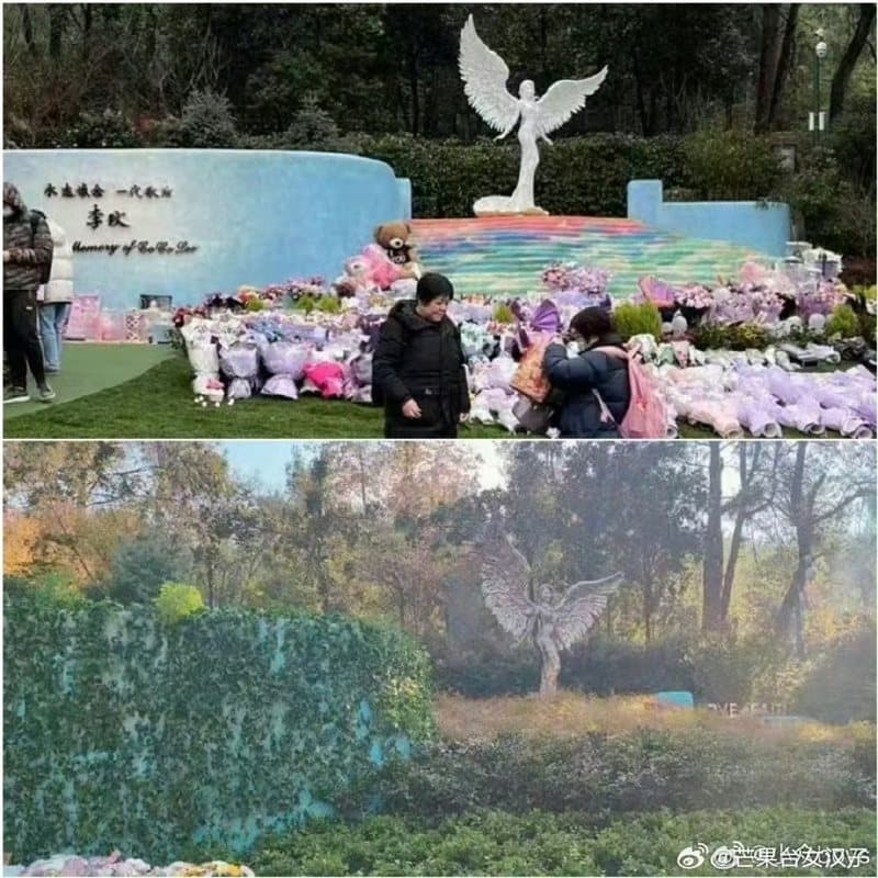 有人在網上貼出墓園凌亂照，顯已久沒人維護，兩相對照令人唏噓。（翻攝自微博）