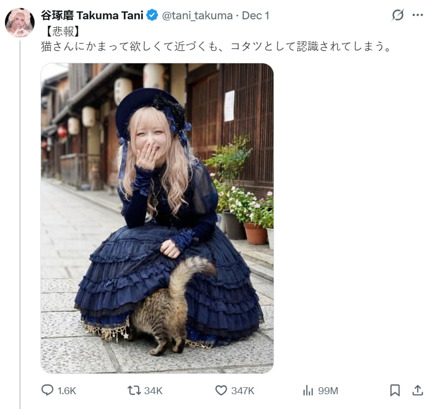 谷塚磨這張和貓密的互動照片一天累積近億次瀏覽。（翻攝自X @tani_takuma）