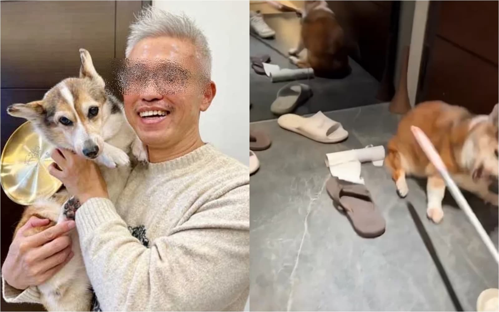 曾獲模範飼主的詹姓男子涉嫌虐待動物躍上新聞版面。（新北動保處／翻攝自Threads）