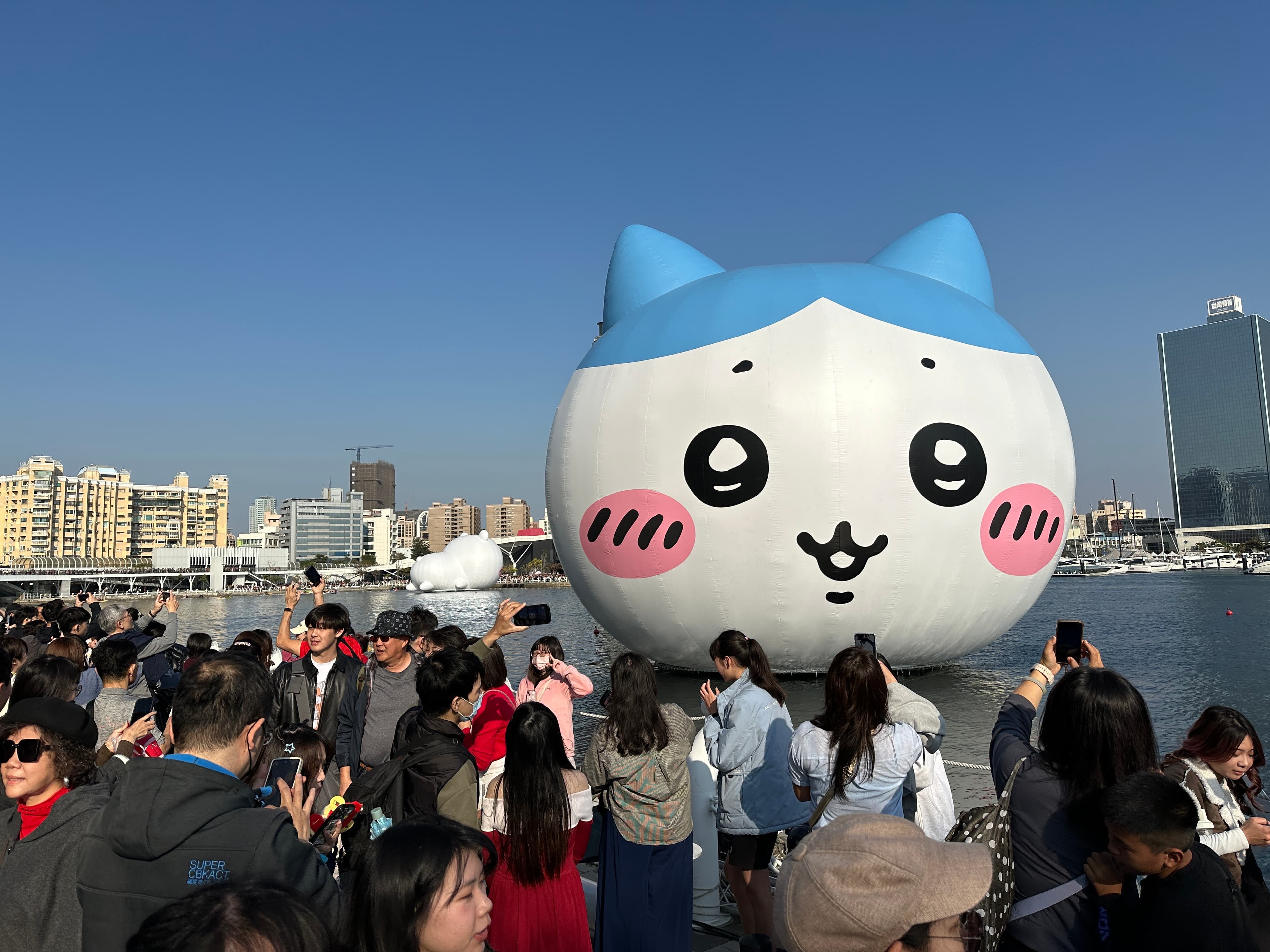 小八最近出現在高雄冬日遊樂園，吸引無數遊客朝聖搶拍。