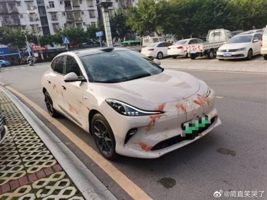 新車才剛回家，馬上變成「命案現場」。（翻自微博）