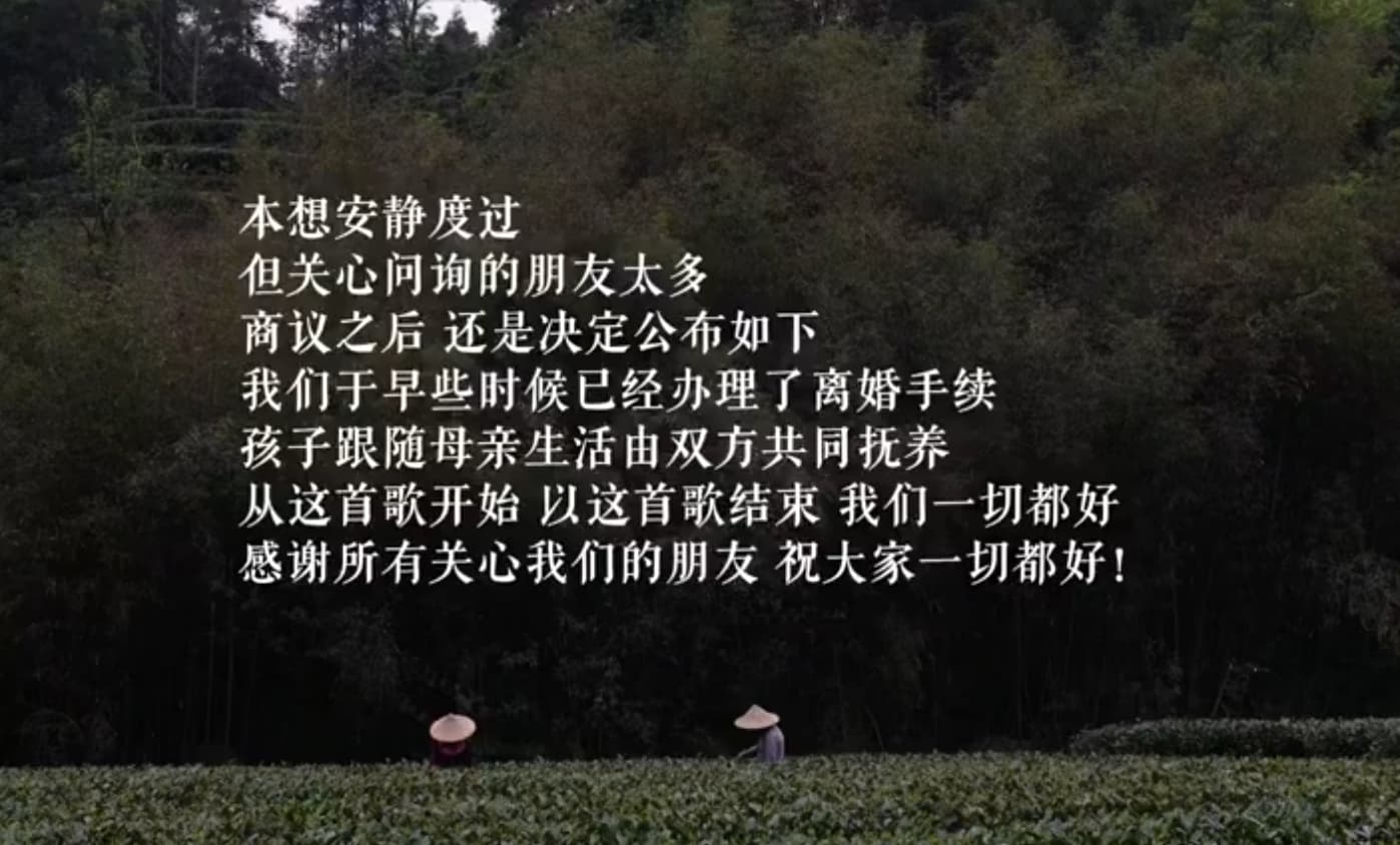 李亞鵬與海哈金喜今（14日）稍早於微博發布一段影片，宣布已離婚的消息。（翻攝自微博@海哈金喜）