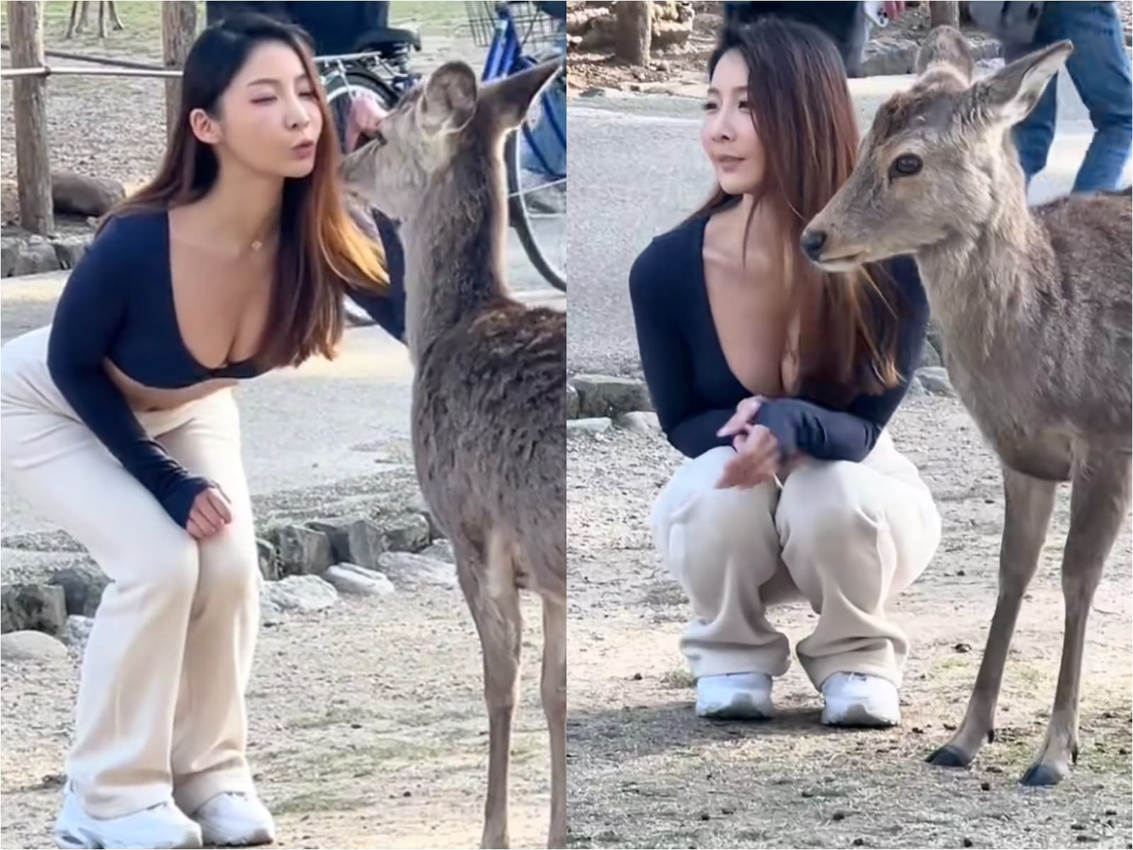女遊客蹲低、彎腰與鹿合影,成了奈良公園「最凶」美景。(翻攝自TikTok@naraparkdeer)