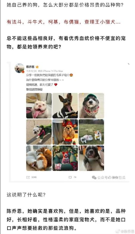 早前陳喬恩為狗發聲的舉動被質疑虛偽，她因此發文澄清。（陳喬恩微博）