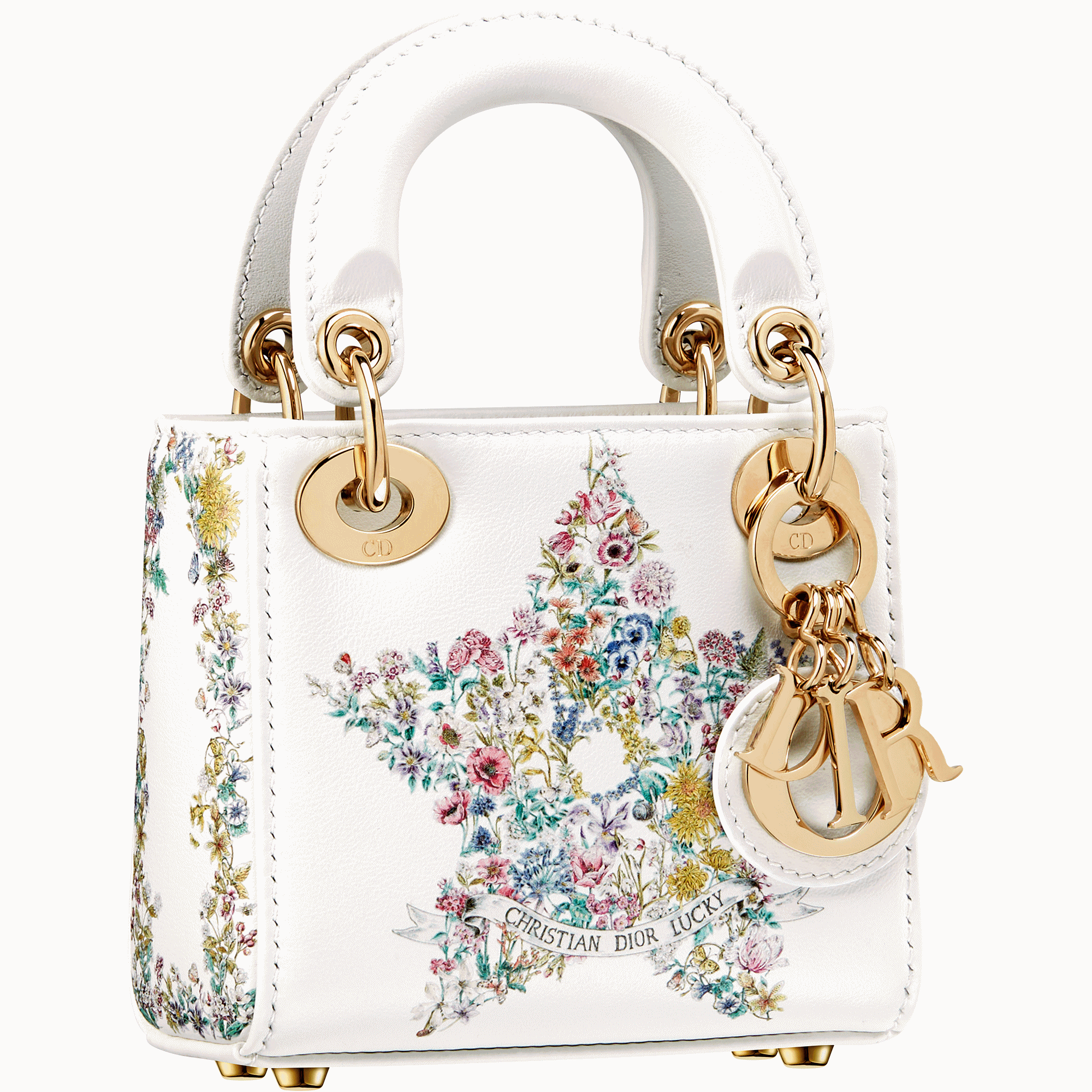 DIOR Lucky膠囊系列Lady DIOR印花微型包款，NT$145,000。（迪奧提供）