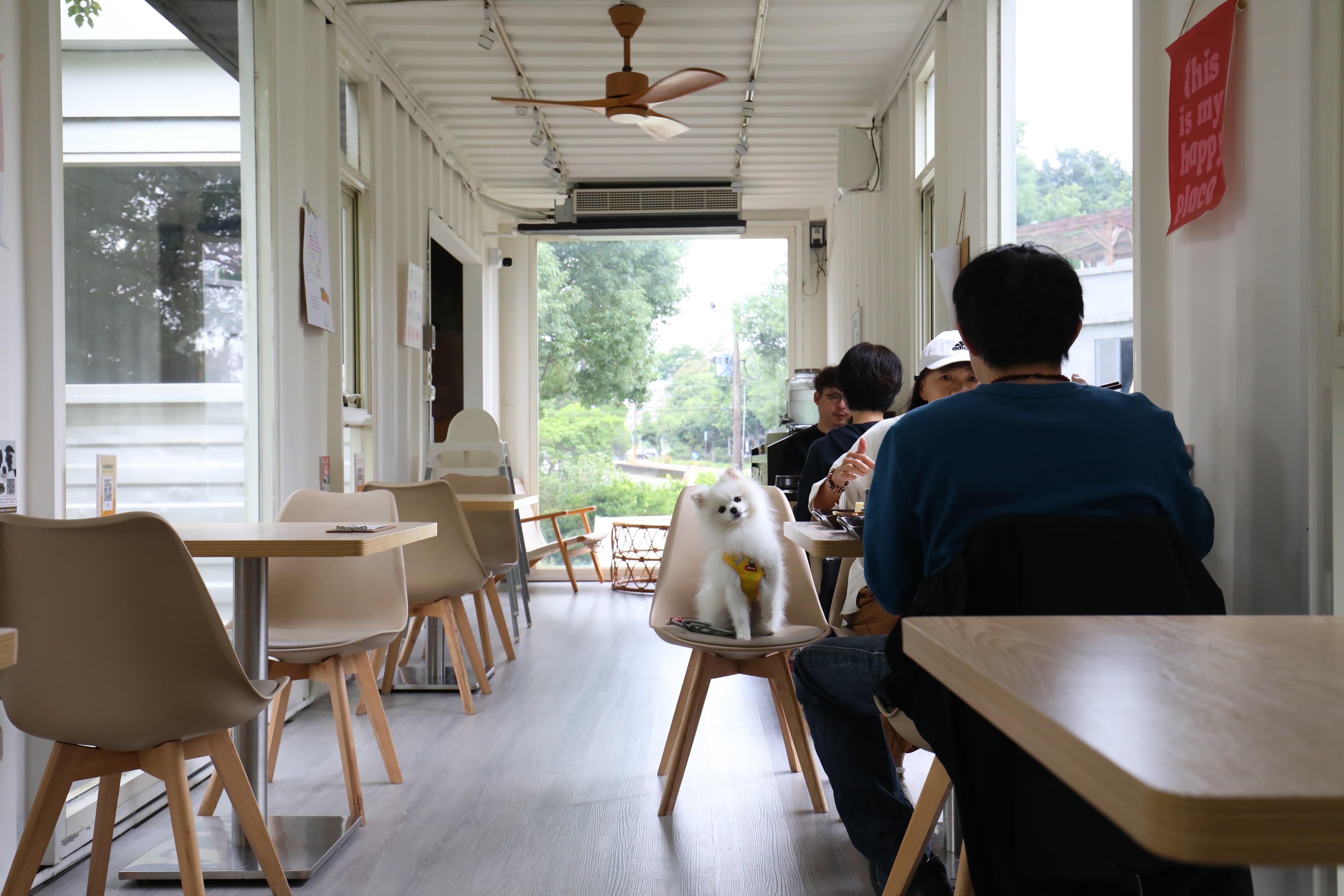 二樓座位區採光極佳，店家備有寵物水碗、撿便袋、防蚊液等用品，小狗也能一同上桌用餐。