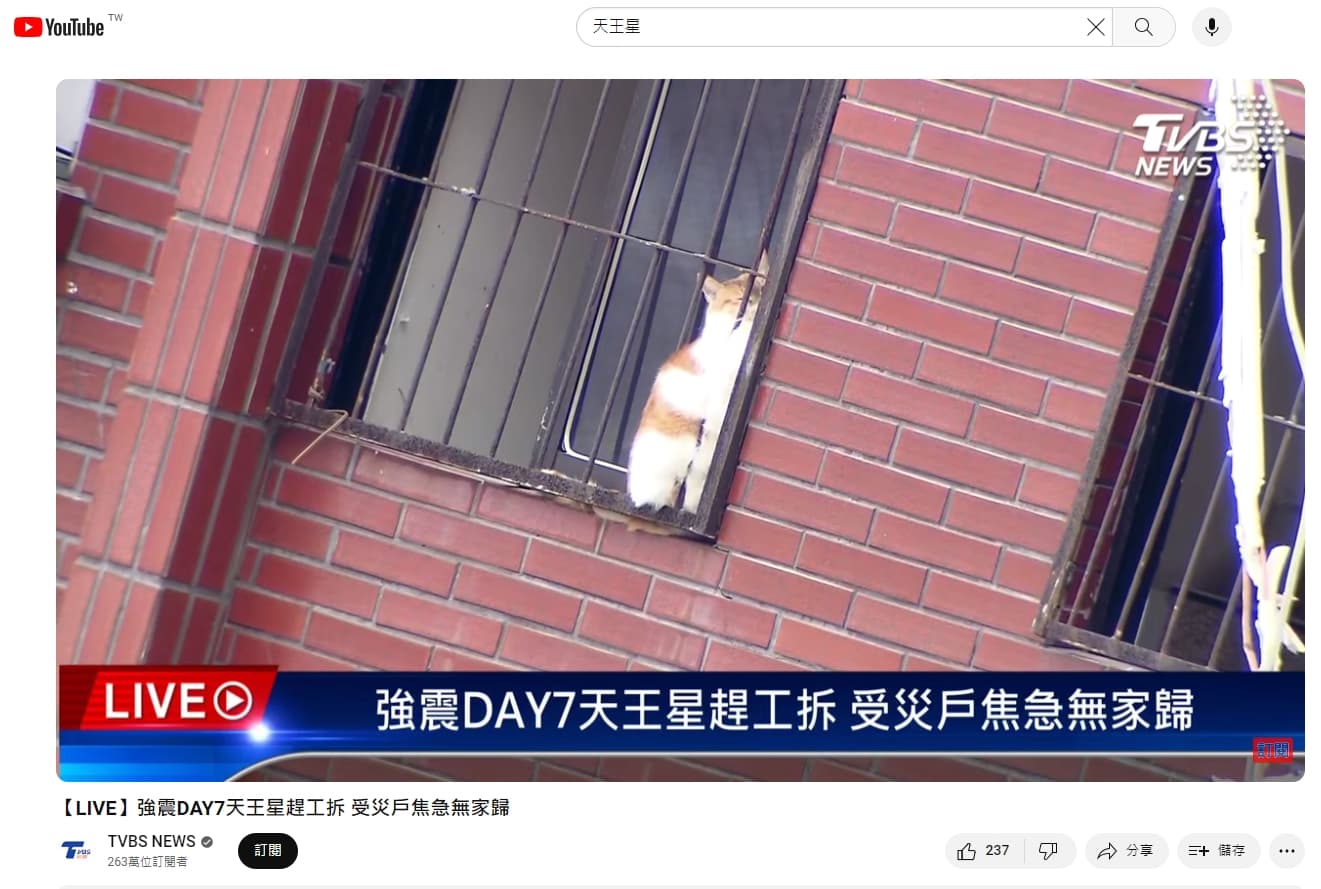 有媒體鏡頭拍到貓咪卡在鐵窗，引發熱議。（翻攝自TVBS YouTube）