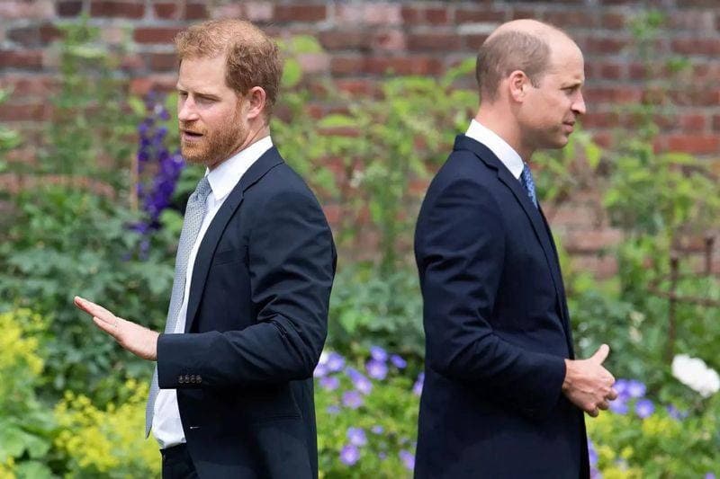 威廉（右）和哈利（左）兄弟倆如今已形同陌路。（翻攝Prince_harry Duke of Sussex 臉書）