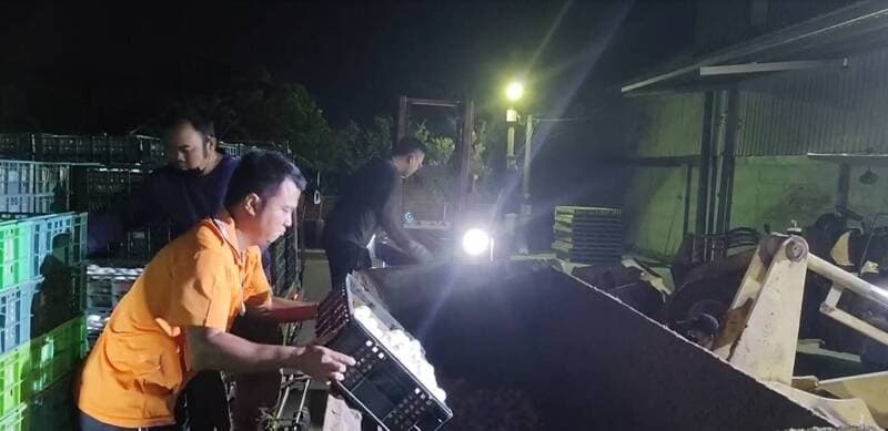 農業處指出，文雅畜牧場因雞蛋檢出芬普尼超標遭列管，案發後回收並封存的蛋品已全數處理完畢。（彰縣府提供）