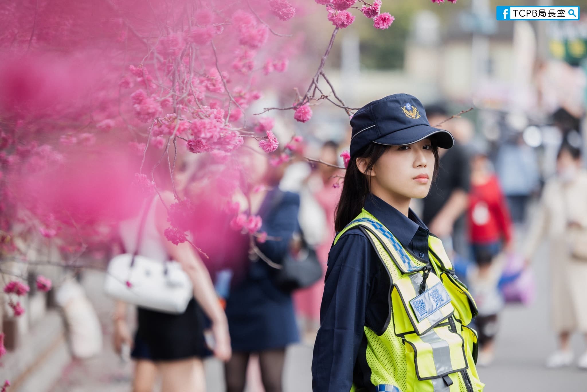 女警站在櫻花樹下值勤，有網友盛讚人比花嬌。（翻攝臉書粉專「TCPB 局長室」）