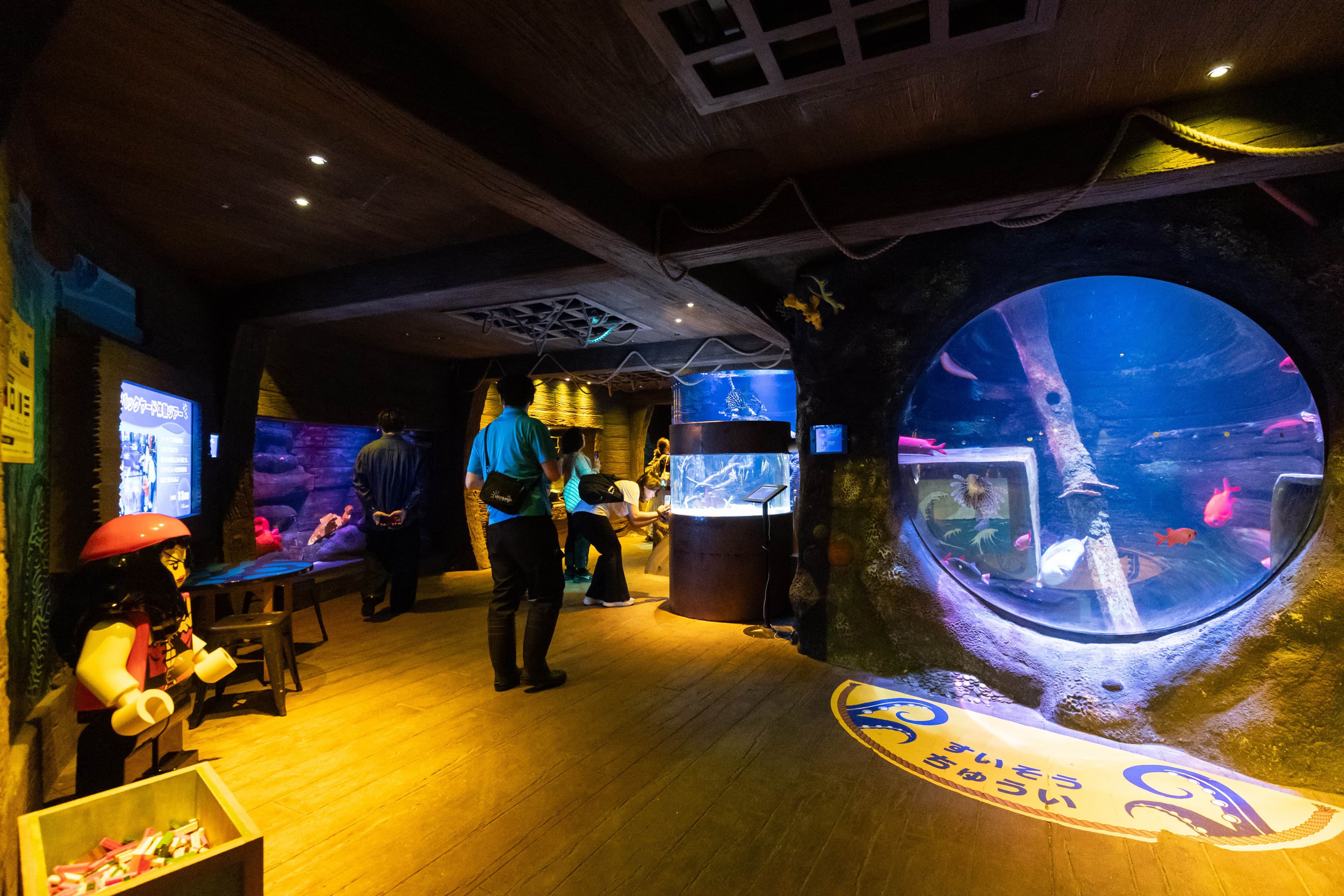 水族館以寓教於樂為理念，結合觸摸池、導覽解說與互動活動，適合親子共遊探索。