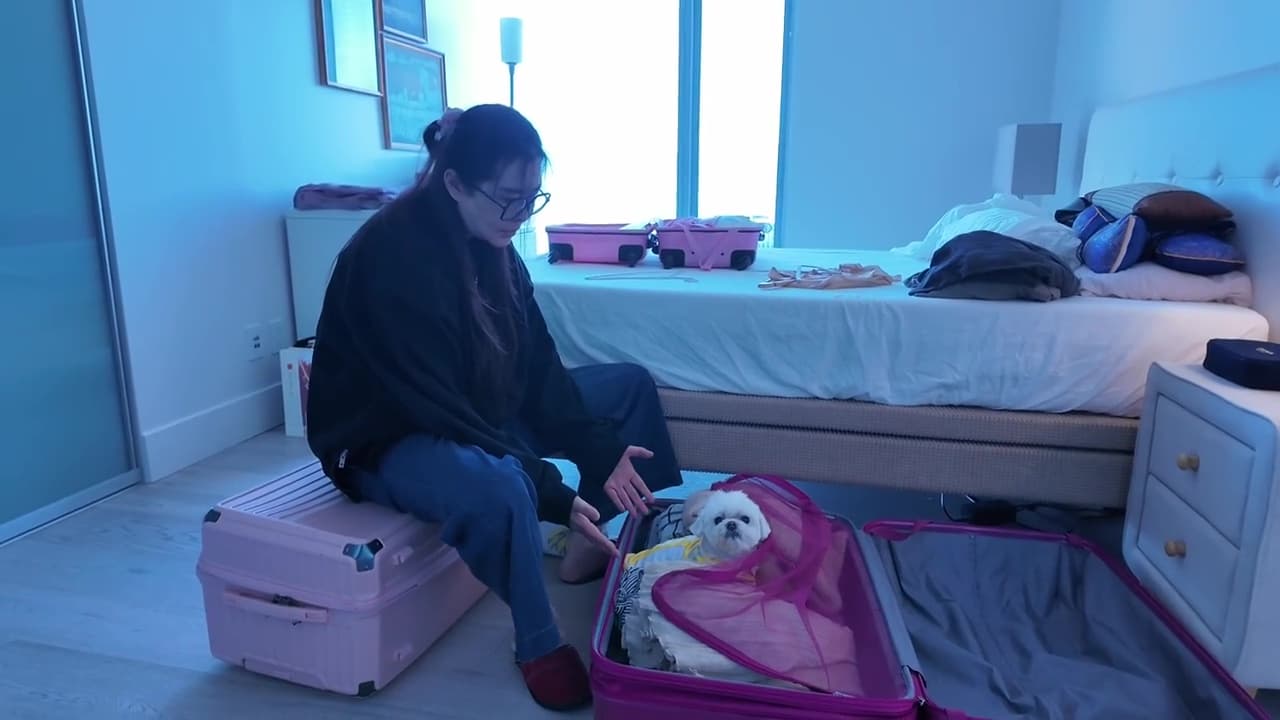 王祖賢打包行李，愛犬智悟一度趴在行李箱裡，不肯出來，模樣十分可愛。（翻攝小紅書）