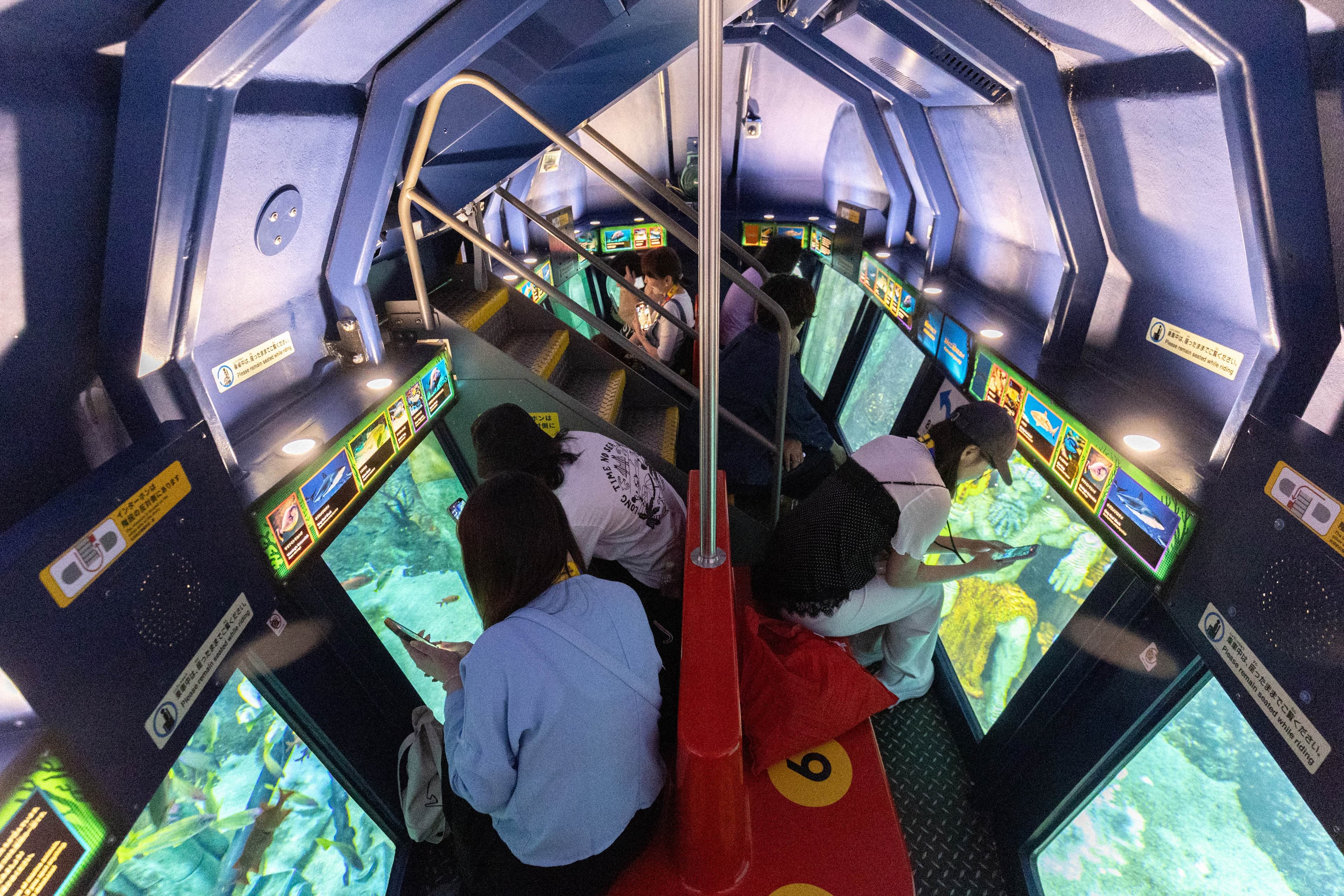 搭乘潛水艇穿梭巨大水族箱，近距離觀察熱帶魚與鯊魚等海洋生物。