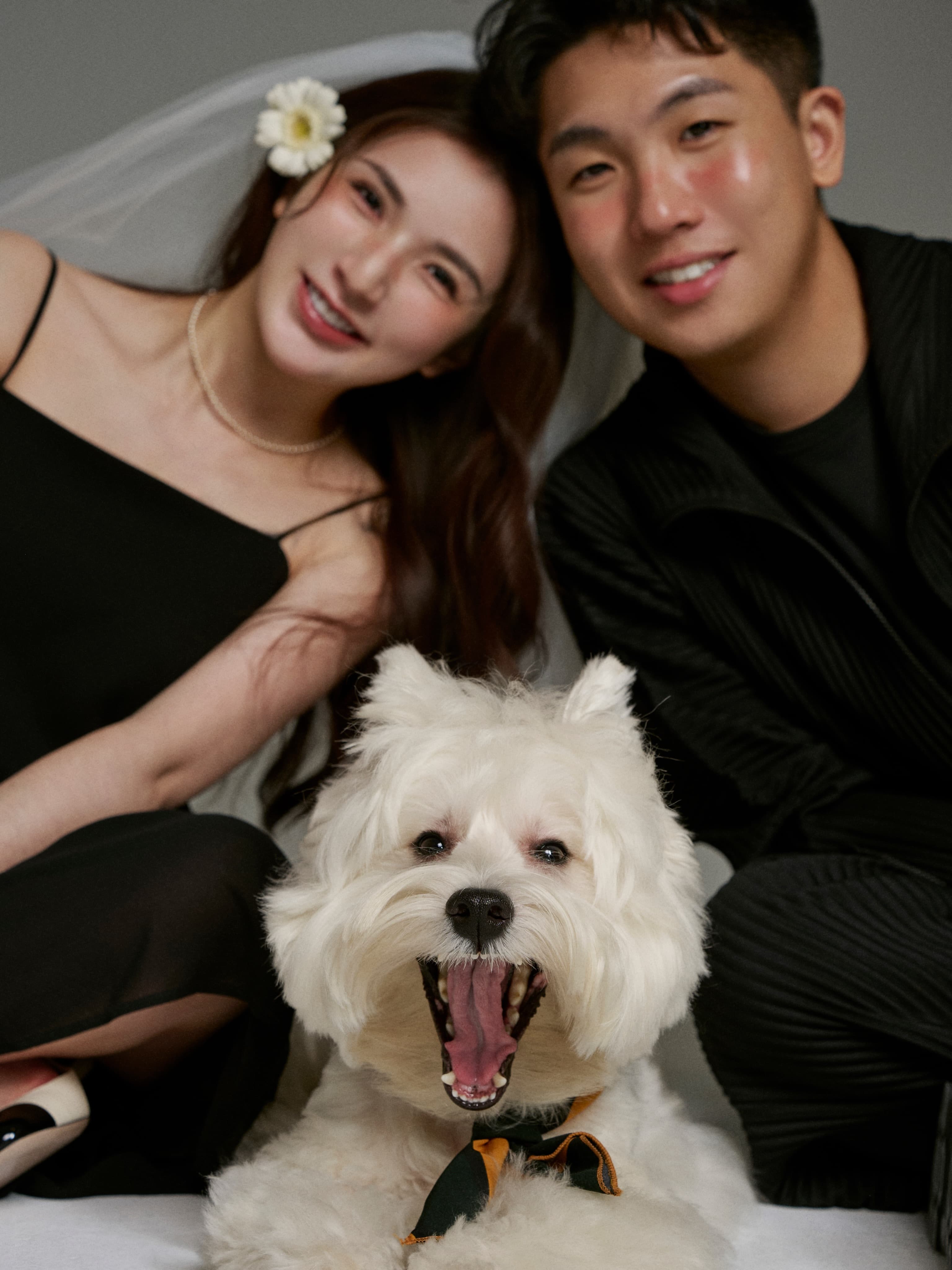 前樂天女孩成員Dora不僅手上的「Harry Winston」巨型鑽戒格外搶眼，兩人也帶著愛犬一同入鏡，留下溫馨的全家福合影。（翻攝自dodo.ra_h IG）