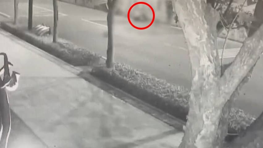然而，這名男子卻毫髮無傷地從車底下鑽出，並翻牆離開。此行為嚴重影響列車運行，警方依公共危險罪偵辦。（翻攝畫面）
