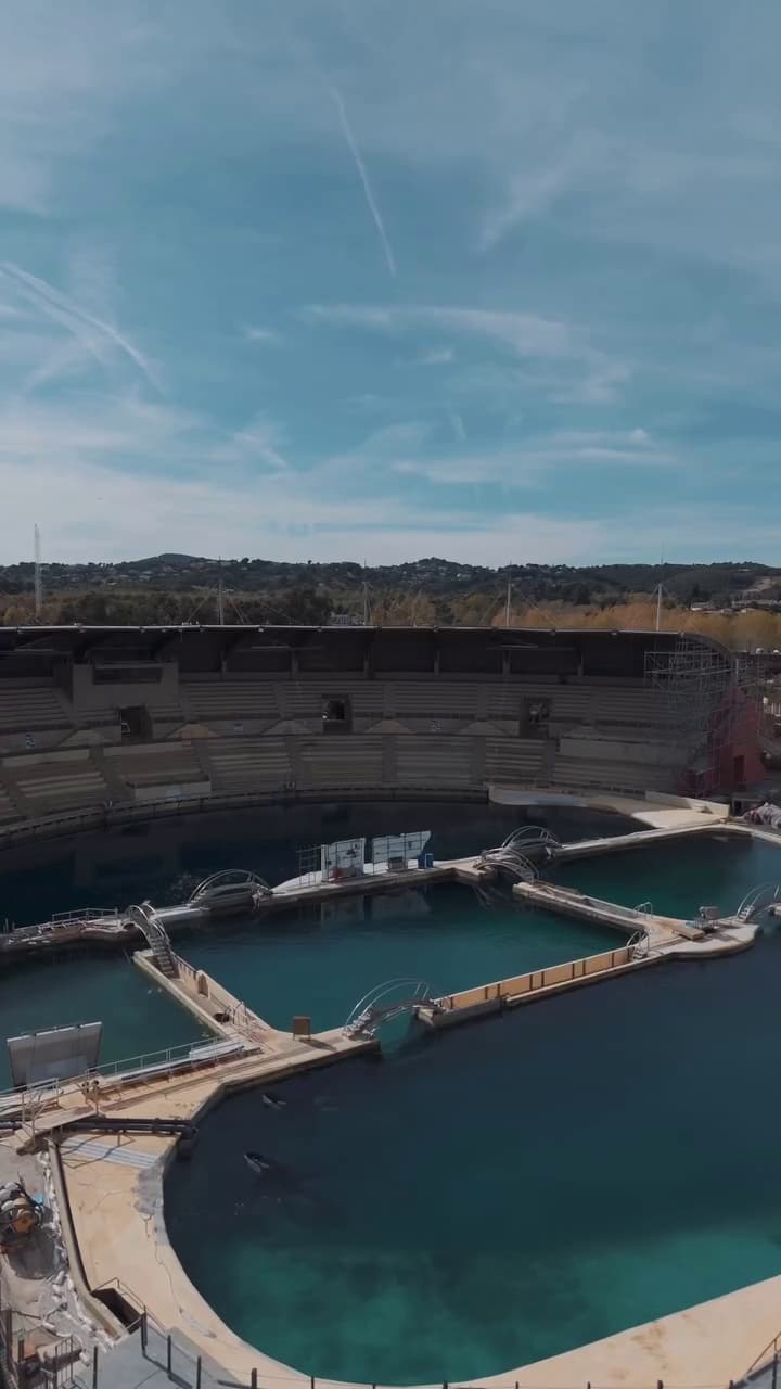 這座海洋公園已廢棄，鯨豚仍泡在腐水中。（翻攝sephlawless IG）