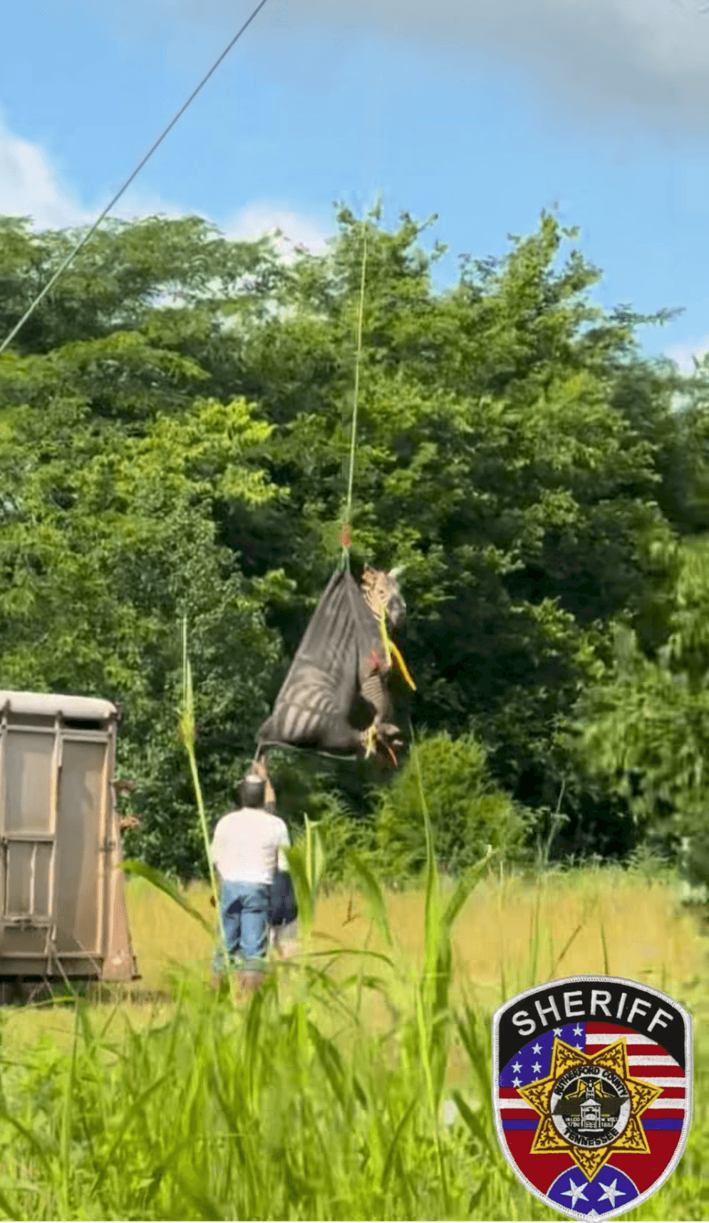 警方動用直升機，最終將Ed平安送至動物運輸車輛，返還給飼主。（翻攝Rutherford County Sheriff's Office臉書）