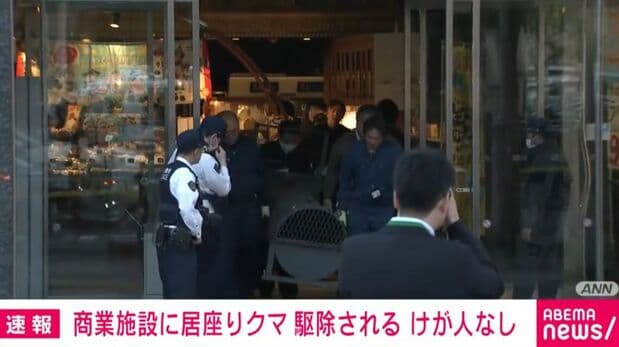 《ANN》報導，青森縣市區有成年黑熊出沒，嚇壞一群居民。（翻攝自X）