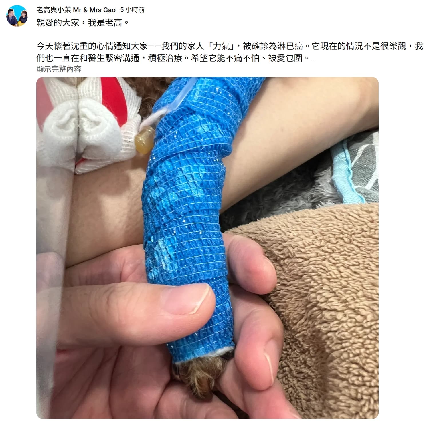 老高透露因家中毛小孩被診斷為淋巴癌，「現在的情況不是很樂觀」，希望能把全部時間與心力都放在陪伴與照顧上。（翻攝YT頻道／老高與小茉 Mr & Mrs Gao）