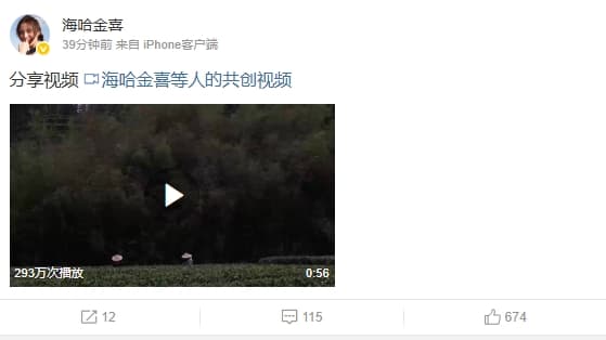 李亞鵬與海哈金喜今（14日）稍早於微博發布一段影片，宣布已離婚的消息。（翻攝自微博@海哈金喜）