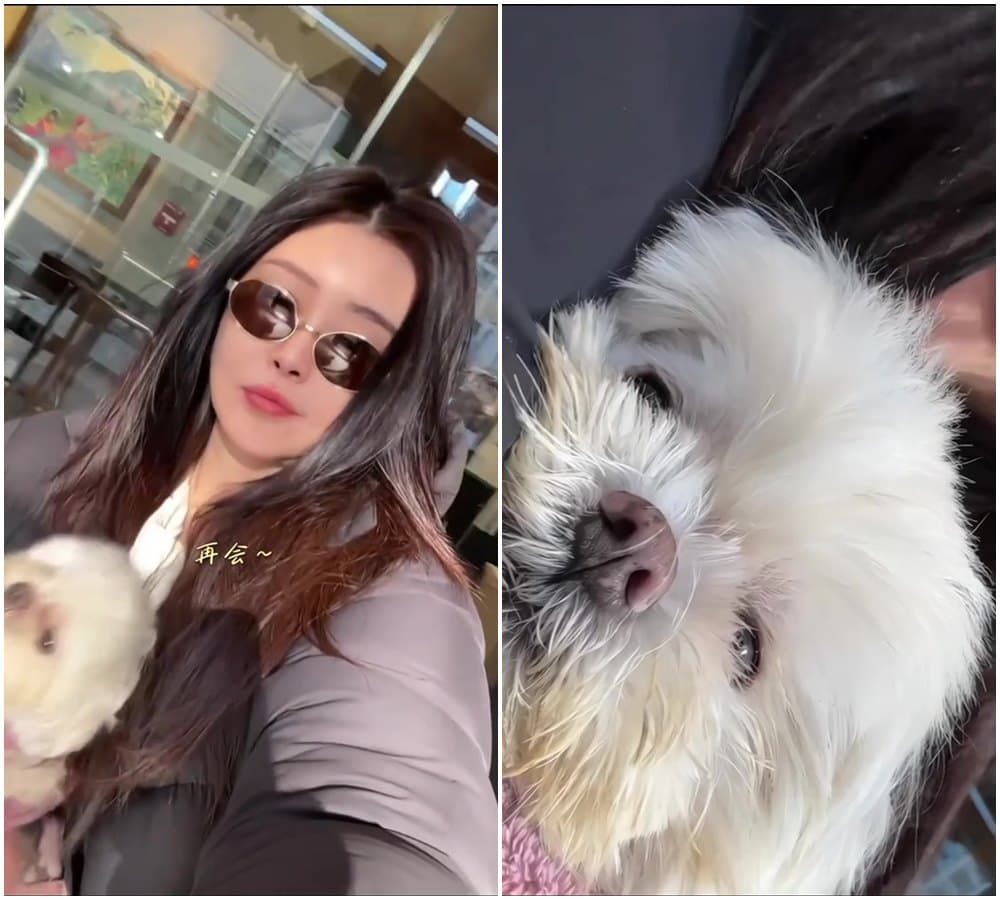 王祖賢懷中抱著愛犬「智悟」，相當可愛。（翻攝王祖賢抖音）