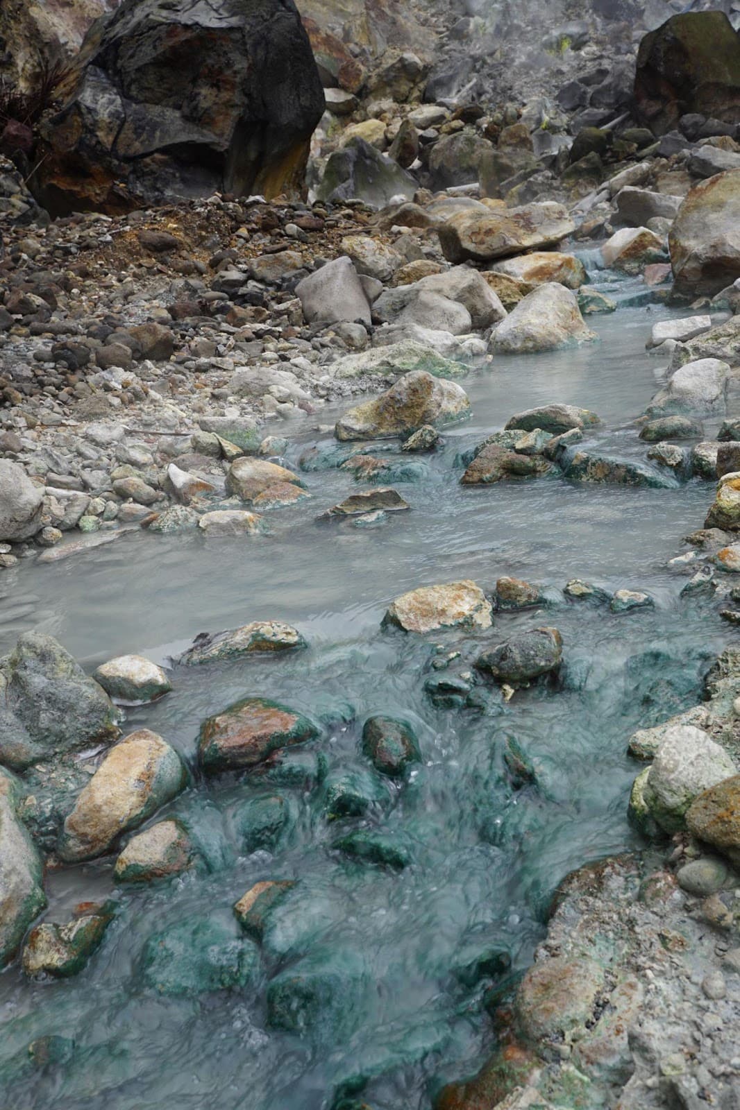 泉水被成群的溫泉紅藻染成藍綠色。（中山大學提供）