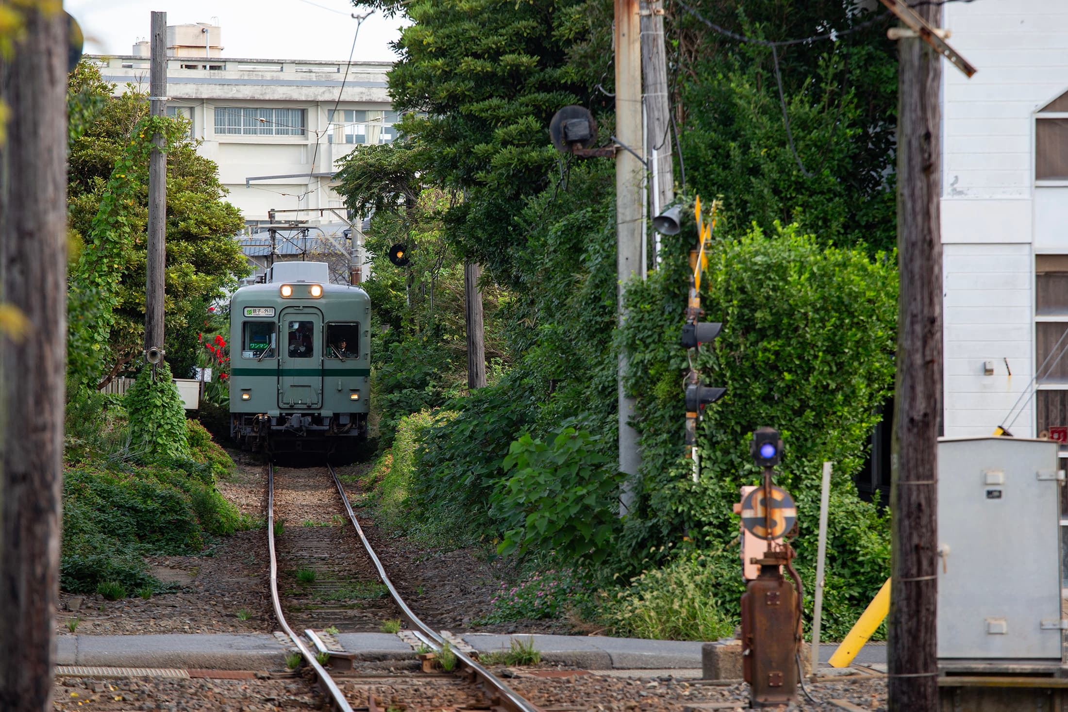 銚子電鐵的車廂十分復古，是這條線路上最迷人的風景。